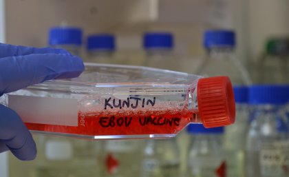 Kunjin Ebola vaccine in preparation at UQ